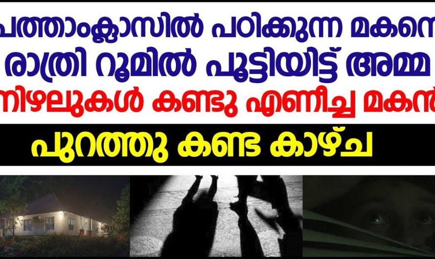 അമ്മയെയും കാമുകനെയും അസമയത്ത് വീട്ടിൽ കണ്ട പത്താം ക്ലാസുകാരൻ പിന്നീട് ചെയ്തത് എന്തെന്നറിയേണ്ടേ…