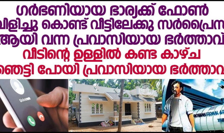 പ്രവാസിയായ ഭർത്താവ് ഗർഭിണിയായ ഭാര്യയെ കാണാൻ നാട്ടിലെത്തിയപ്പോൾ കണ്ട കാഴ്ച…