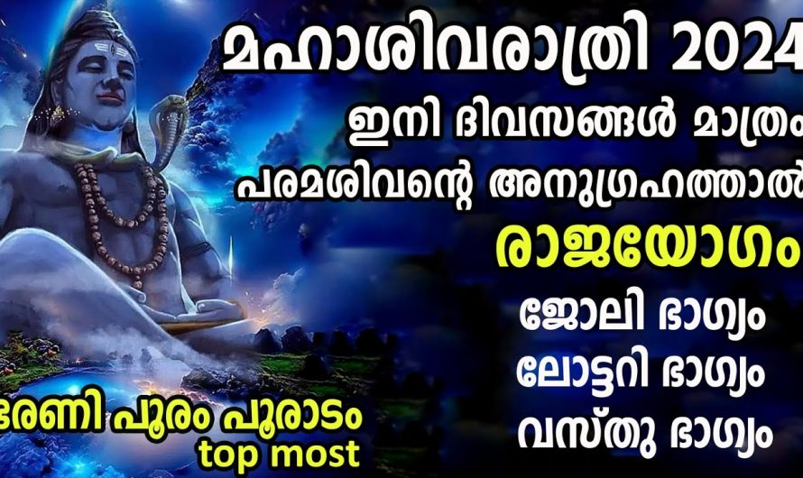 മഹാശിവരാത്രി മുതൽ രാജയോഗം വന്നുചേരാൻ പോകുന്ന നക്ഷത്രജാതകർ ആരെല്ലാം എന്നറിയാൻ ഇതു കാണുക…