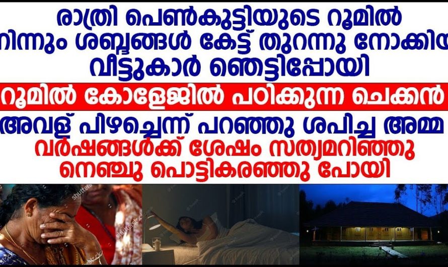 ഒരു പെണ്ണിൻറെ വെല്ലുവിളി തകർത്തെറിഞ്ഞത് മറ്റൊരു പെണ്ണിൻറെ ജീവിതമായിരുന്നു…