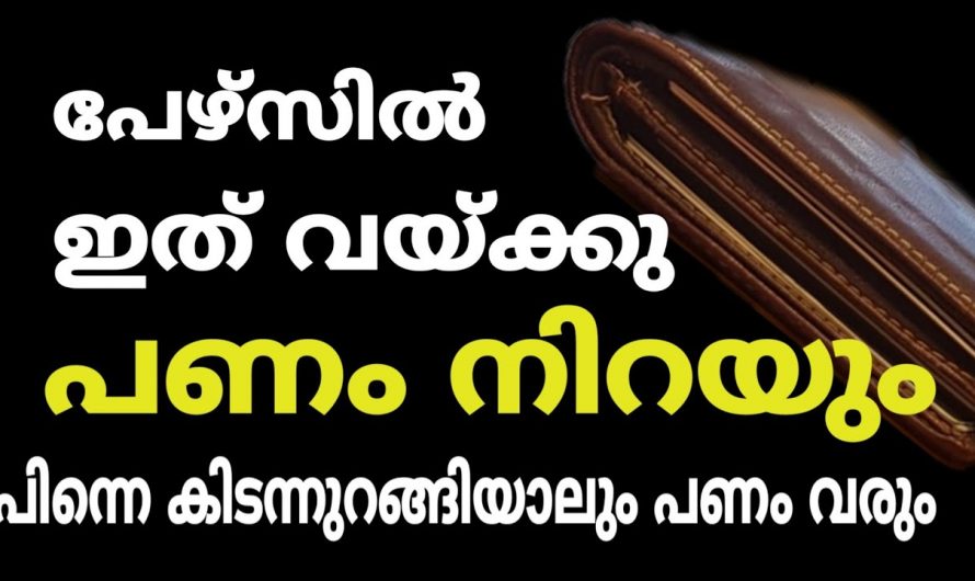 നിങ്ങളുടെ പേഴ്സുകൾ അതിരില്ലാതെ നിറഞ്ഞു കവിയാൻ ഇത്തരത്തിൽ ഒന്നു ചെയ്തു നോക്കൂ…