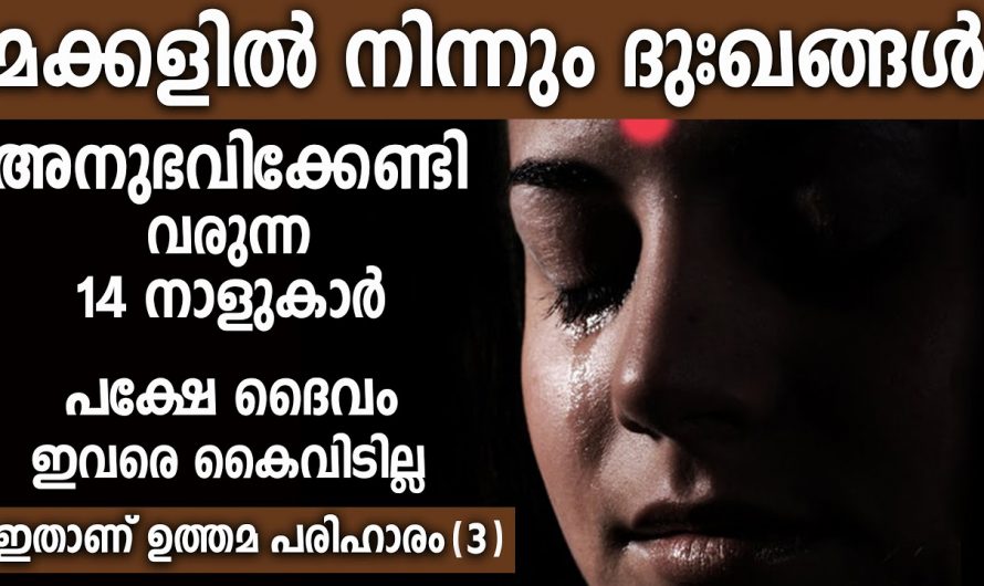 പുത്രദുഃഖം അനുഭവിക്കേണ്ടിവരുന്ന നക്ഷത്ര ജാതകർ ആരെല്ലാം എന്നറിയാൻ ഇത് കാണുക…