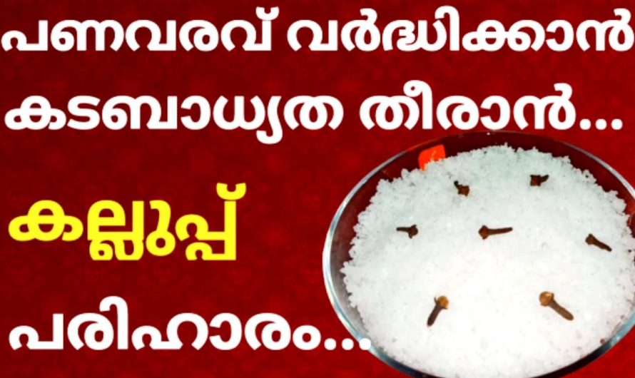 കല്ലുപ്പ് നിസ്സാരക്കാരനല്ല കേട്ടോ. ഇവനെ കൊണ്ട് ഇങ്ങനെയുമുണ്ട് ഉപകാരങ്ങൾ…