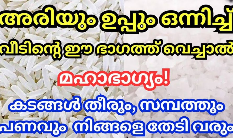 നിങ്ങളുടെ വീട്ടിൽ സമ്പത്ത് വർധിക്കണം എന്ന് ആഗ്രഹിക്കുന്നുവെങ്കിൽ ഇത് കാണുക…