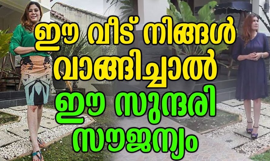 കേട്ട് കേൾവി ഇല്ലാത്ത കാര്യമാണ് ഇതെങ്കിലും കേട്ടത് സത്യം തന്നെ…