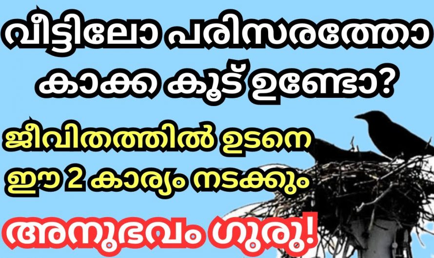 നിങ്ങളുടെ വീടിനടുത്ത് കാക്കക്കൂട് ഉണ്ടെങ്കിൽ ഇത് അറിയാതെ പോകല്ലേ…