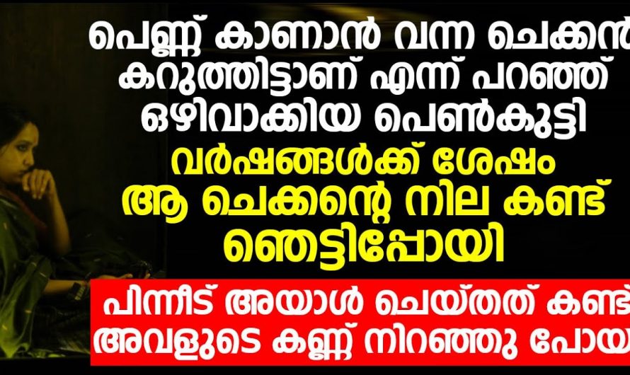 നിറത്തിന്റെ പേരിൽ അധിക്ഷേപിച്ചു വിട്ട ചെക്കനും ഭാര്യയും അയൽവാസിയായി വന്നപ്പോൾ…