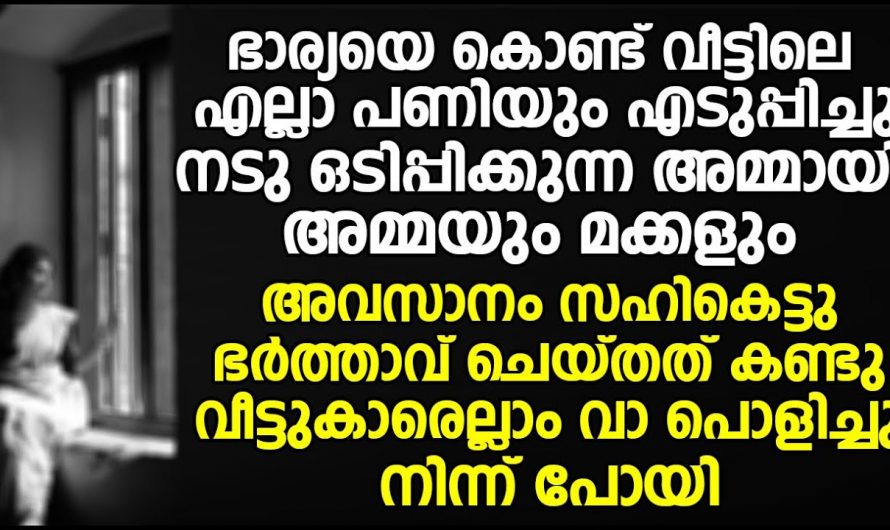 കൂട്ടുകുടുംബത്തിലെ പണിയെടുക്കാൻ മടിയുള്ള സഹോദരങ്ങളെ പണിയെടുക്കാൻ പഠിപ്പിച്ച ജ്യേഷ്ഠൻ…