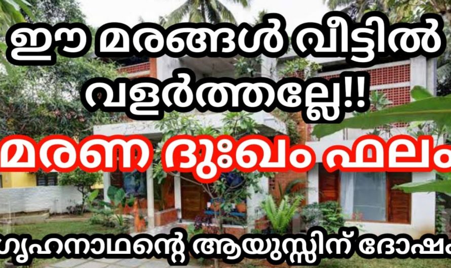 നിങ്ങളുടെ വീടിന്റെ മുൻവശത്തായി വച്ചുപിടിപ്പിക്കാൻ പാടില്ലാത്ത വൃക്ഷങ്ങൾ ഇവയെല്ലാം…