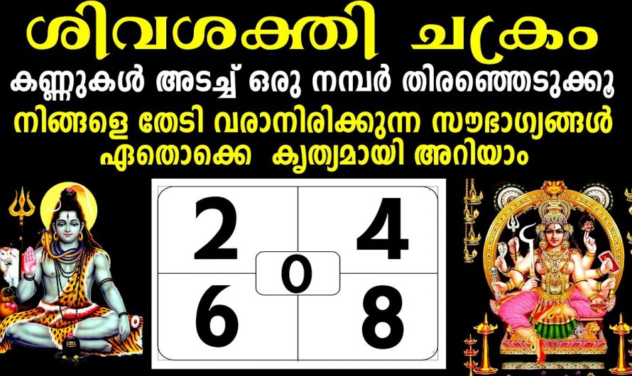 ഈ ചക്രം പറയും ഇനി നിങ്ങളുടെ ജീവിതത്തിൽ എന്ത് നടക്കും എന്ന്. ഇത് കാണുക…