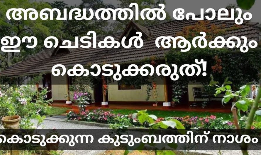 നിങ്ങൾ ചെടികൾ നട്ടുപിടിപ്പിക്കുന്നവരാണ് എങ്കിൽ അബദ്ധത്തിൽ പോലും ഇക്കാര്യങ്ങൾ ചെയ്യരുത്…