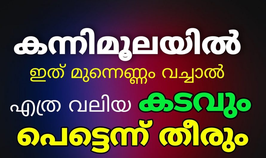 നിങ്ങളുടെ വീട്ടിൽ കടം പെരുകുന്നതിന്റെ കാരണം എന്തെന്നറിയാൻ ഉറപ്പായും ഇത് കാണുക…