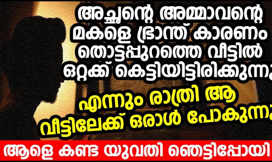 ഭ്രാന്തുള്ള ചിറ്റയുടെ അടുത്തേക്ക് രാത്രികാലങ്ങളിൽ വന്നുപോകുന്ന ആൾ ആരാണെന്ന് കണ്ട് ഞെട്ടിയ പെൺകുട്ടി…