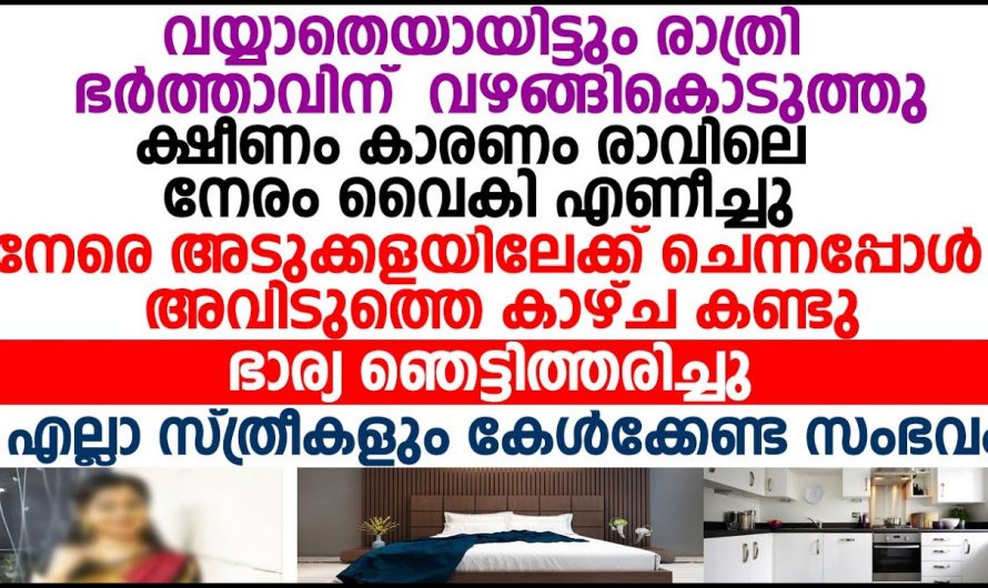 ഭാര്യ സ്വന്തം കളിപ്പാവയാണെന്ന് കരുതിയ ഭർത്താവിനെ തക്ക മറുപടി കൊടുത്ത് ഭാര്യ…