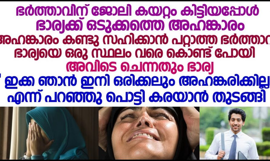 ഇവളുടെ അഹങ്കാരം തീർക്കാൻ ഈ പട്ടാളക്കാരൻ ചെയ്തത് എന്താണെന്ന് അറിയാൻ ഇത് കാണുക…