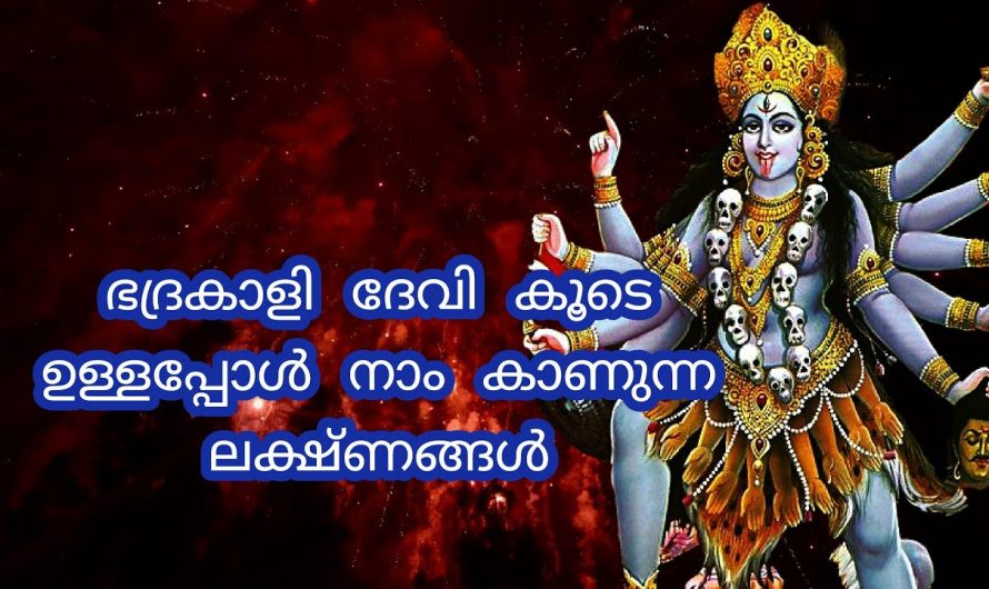 നിങ്ങൾ ഈ ലക്ഷണങ്ങൾ കാണുന്നുണ്ടോ? എങ്കിൽ ഉറപ്പിച്ചു കൊള്ളൂ ഭദ്രകാളി ദേവി നിങ്ങൾക്കൊപ്പം ഉണ്ട്…