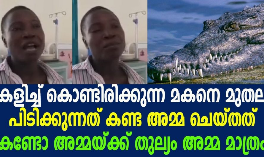 അമ്മയെക്കാൾ വലിയ പോരാളി ഈ ലോകത്ത് മറ്റാരുമില്ല എന്നതിന്റെ ഒരു തെളിവ് കൂടി ഇതാ…