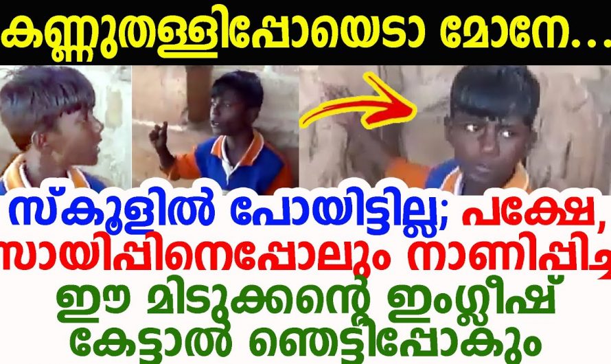 ഈ മോന്റെ ഇംഗ്ലീഷ് ഫ്ലുവൻസി കേട്ടാൽ നിങ്ങൾ ഞെട്ടിപ്പോകും. ആരും ഇത് കേൾക്കാതെ പോകല്ലേ…