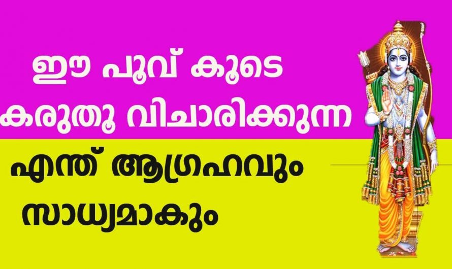 തെച്ചിപ്പൂവിന്റെ ഇത്തരം ഗുണങ്ങൾ നിങ്ങൾ ഒരിക്കലും അറിയാതെ പോകരുത്…