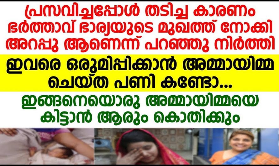 ഇതുപോലെ സ്നേഹനിധിയായ ഒരു അമ്മായിയമ്മയെ കിട്ടാൻ ആരാണ് ആശിക്കാത്തത്…