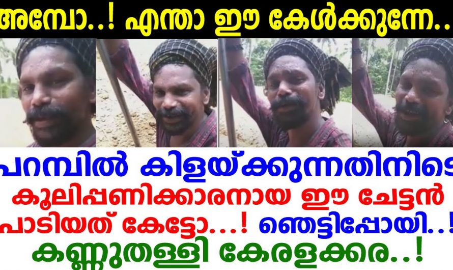 ഇത്തരം കലാകാരന്മാരെ അല്ലേ നാം പ്രോത്സാഹിപ്പിക്കേണ്ടത്. ഇത് നിങ്ങൾ കാണാതെ പോകരുത്…