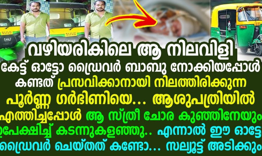 ഇടവഴിയിലെ ഞരക്കം കേട്ട് അങ്ങോട്ട് എത്തിയ ഓട്ടോ ഡ്രൈവർ ഞെട്ടിപ്പോയി…