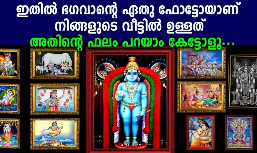 ശ്രീകൃഷ്ണ ഭഗവാനോട് നിങ്ങൾ ഇത്തരത്തിൽ ഒന്ന് പ്രാർത്ഥിച്ചു നോക്കൂ. ഭാഗ്യം നിങ്ങളെ തേടിയെത്തും…