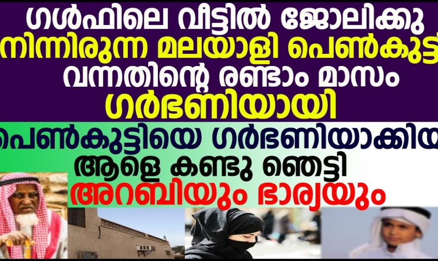 അറബി വീട്ടിലെ വേലക്കാരി ഗർഭിണി. കുഞ്ഞിന്റെ അച്ഛൻ ആരാണെന്ന് അറിഞ്ഞു ഞെട്ടി വീട്ടുകാർ…