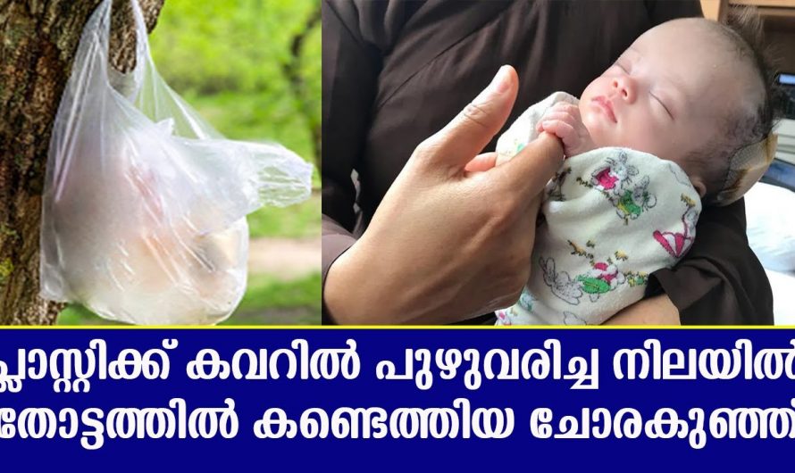 ഒന്നുമറിയാത്ത നിഷ്കളങ്കയായ ഈ ചോരകുഞ്ഞിനോട് എന്തിനീ ക്രൂരത…