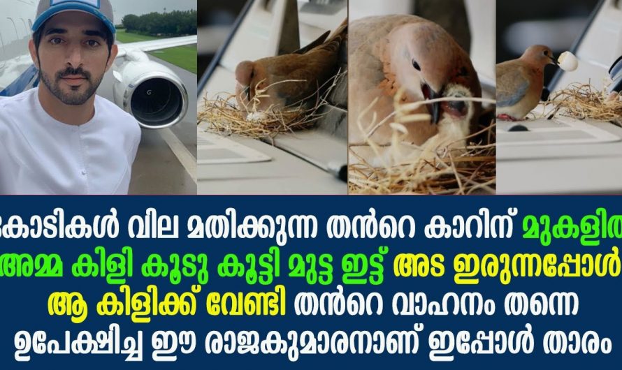 ലോകജനതയ്ക്ക് മാതൃകയായി ദുബായ് കിരീട അവകാശി. ഇത് നിങ്ങൾ കാണാതെ പോകരുത്…