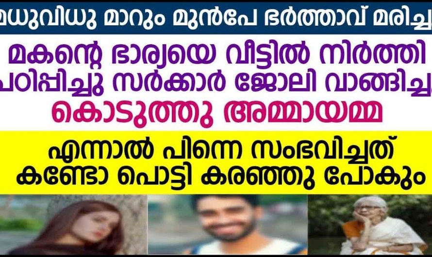 മകന്റെ ഭാര്യയ്ക്ക് വിവാഹാലോചനയുമായി ഒരു അമ്മായിയമ്മ. ഇത് നിങ്ങൾ കാണാതെ പോകരുത്…