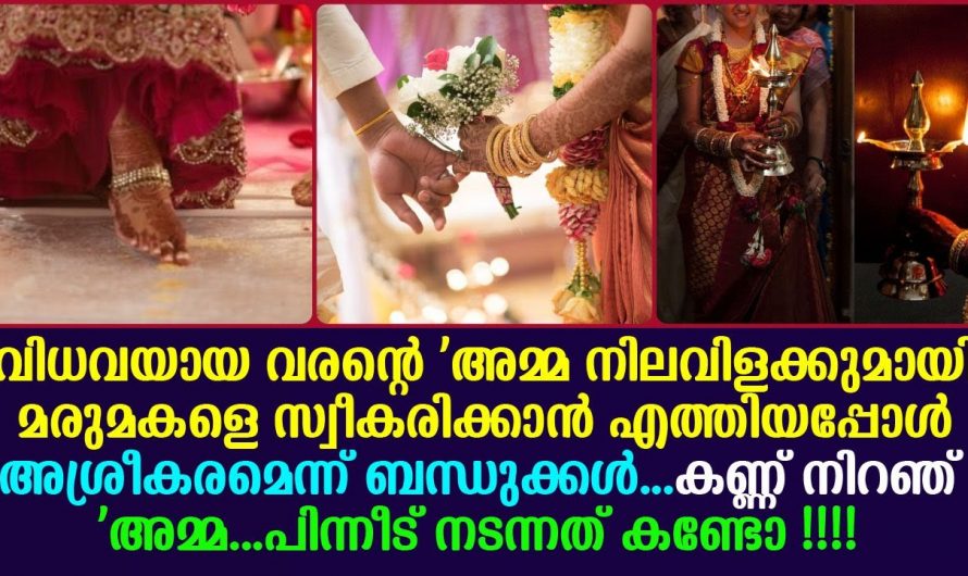 ഇതുപോലൊരു മരുമകളെ കിട്ടാൻ ആ അമ്മ പുണ്യം ചെയ്തിരിക്കണം…