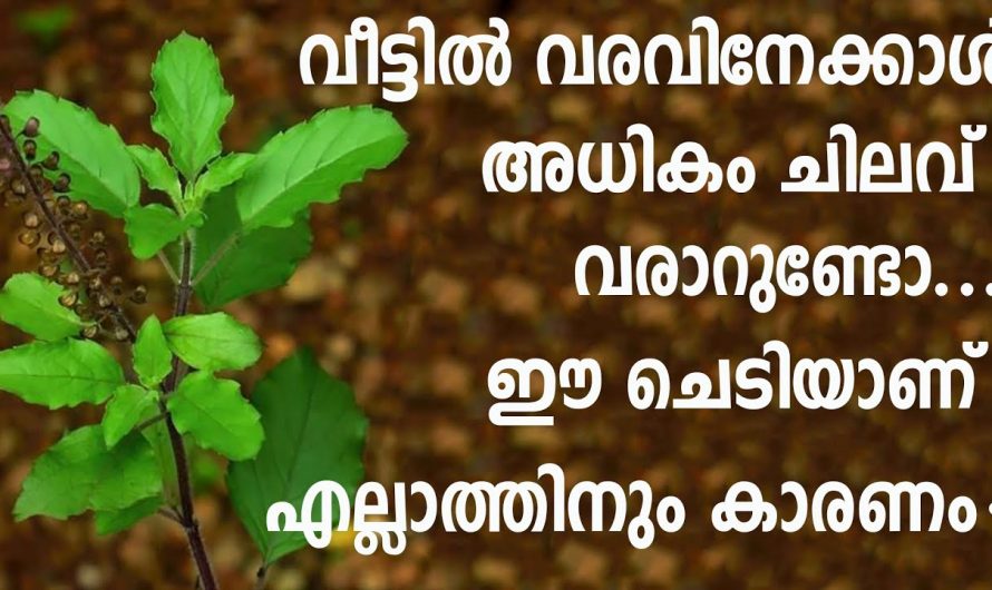 കന്നിമൂലയെ കുറിച്ചുള്ള നിങ്ങളുടെ സംശയങ്ങൾ മാറി കിട്ടുന്നതിനായി ഇതൊന്നു കണ്ടു നോക്കൂ…