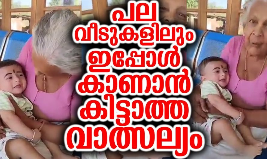 ഈ മുതുമുത്തശ്ശിയുടെ ചിരി കണ്ടാൽ എല്ലാം മറന്നൊന്ന് ഇരുന്നു പോകും…