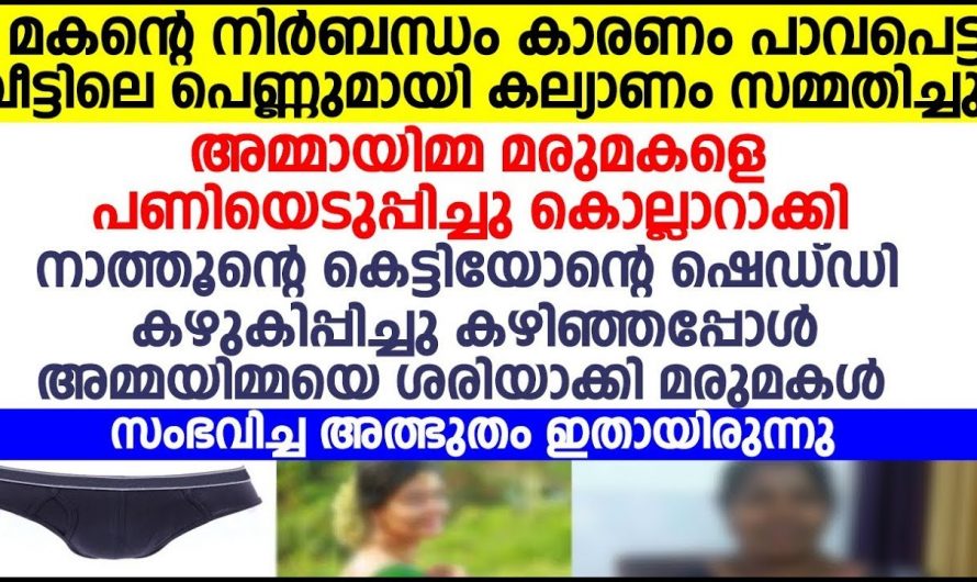 മരുമകളെ കഷ്ടപ്പെടുത്താൻ തീരുമാനിച്ച അമ്മായിയമ്മയ്ക്കും നാത്തൂനും മരുമകൾ പണി നൽകി…