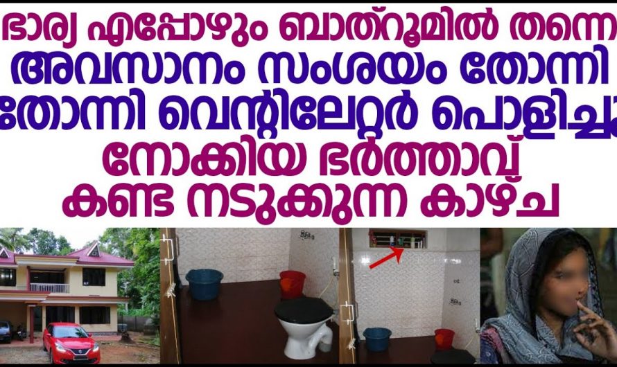 ഭർത്താവിനെയും പിഞ്ചുകുഞ്ഞുങ്ങളെയും ചതിച്ച ഭാര്യയ്ക്ക് പിന്നീട് കിട്ടിയ പണി കണ്ടോ…