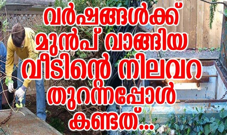 ഒരുപാട് വർഷമായി തുറക്കാതിരുന്ന നിലവറ തുറന്നപ്പോൾ ഏവരും അക്ഷരാർത്ഥത്തിൽ ഞെട്ടിപ്പോയി…