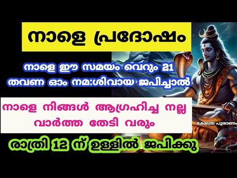 പ്രദോഷ വ്രതത്തെക്കുറിച്ച് അറിയേണ്ടത് ഇതെല്ലാം. നിങ്ങൾ ഇത് കേൾക്കാതെ പോകരുത്…