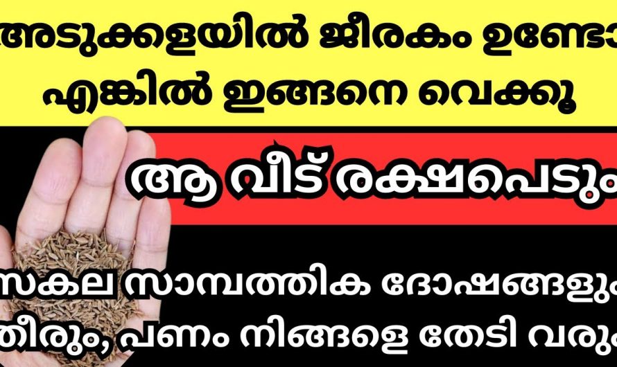 നിങ്ങളുടെ വീട്ടിലെ സാമ്പത്തിക ദോഷം മാറാൻ ഇനി അല്പം ജീരകം മതി…