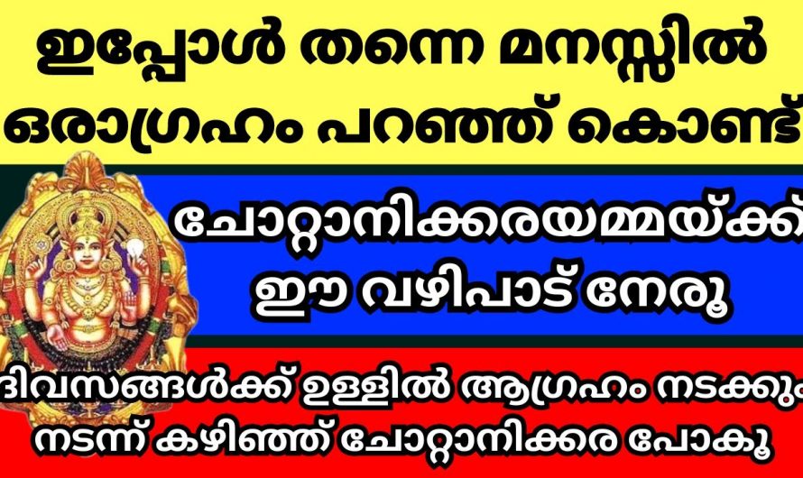 ചോറ്റാനിക്കര ക്ഷേത്രത്തിൽ ഇത്തരത്തിൽ ഒരു ദർശനം നടത്തി നോക്കൂ…