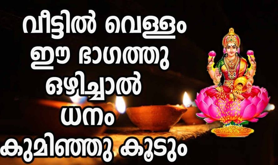 വീടിന്റെ വടക്കുഭാഗത്ത് ഇത്തരത്തിൽ ഒന്ന് ചെയ്തു നോക്കൂ. ധനം നിങ്ങളെ തേടിയെത്തും…