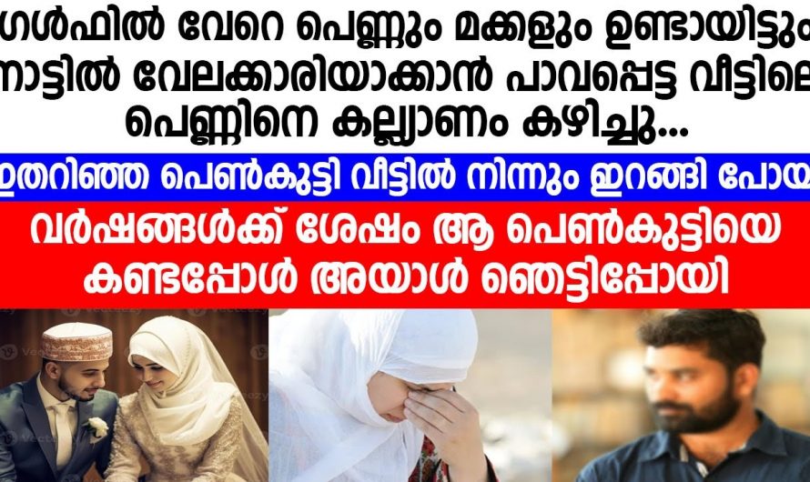 വിദേശത്ത്  വേറെ ഭാര്യയും മകളും ഉണ്ടായിരുന്നിട്ട് പോലും നാട്ടിലുള്ള പെണ്ണിനെ ചതിച്ചവൻ…