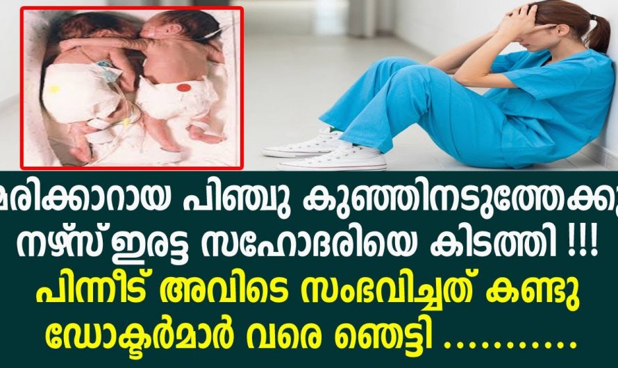 തന്റെ സഹോദരിയുടെ ജീവൻ രക്ഷിച്ച് ഒരു പിഞ്ചുകുഞ്ഞ്. ഇത് നിങ്ങൾ കാണാതെ പോകരുത്…