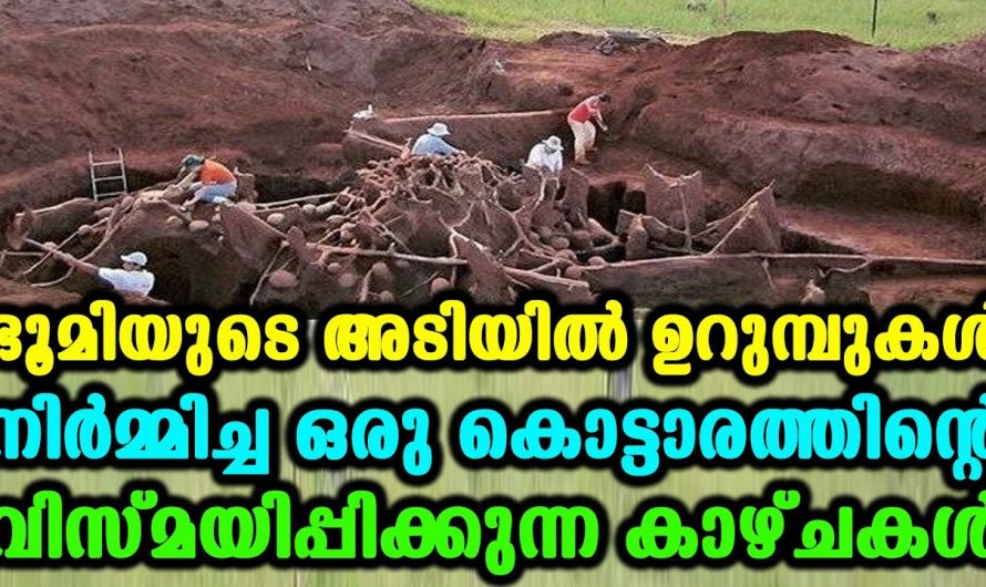 ഇവരാണ് ഭൂമിയുടെ യഥാർത്ഥ അവകാശികൾ. ഇത് എങ്ങനെ സാധിക്കുന്നുവോ ആവോ…