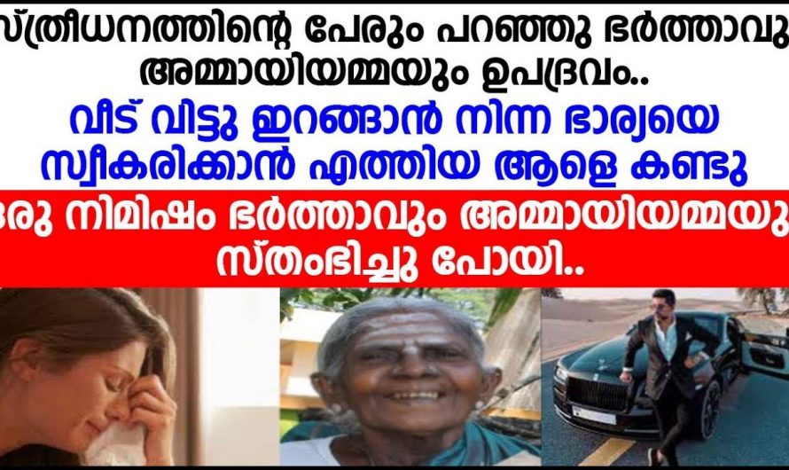 മരുമക്കൾ പ്രതികരിക്കാൻ തുടങ്ങി ഇത് പിടക്കോഴി കൂവുന്ന നൂറ്റാണ്ട് തന്നെ…