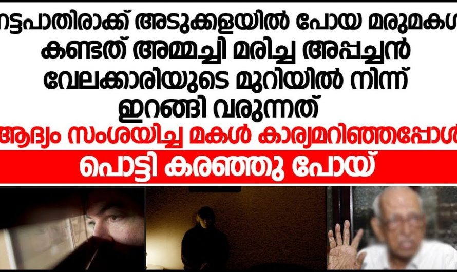 അപ്പന്റെ അവിഹിതം കയ്യോടെ കണ്ടെത്തി മരുമകൾ. ഇത് നിങ്ങൾ കേൾക്കാതെ പോകരുത്…