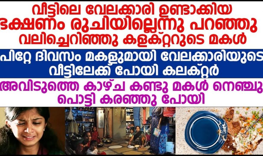 വയസ്സായ വേലക്കാരിക്ക് ഭക്ഷണം ഉണ്ടാക്കാൻ അറിയില്ലെന്ന് പുച്ഛത്തോടെ മകൾ. അതുകേട്ട് അച്ഛൻ ചെയ്തത് ഇങ്ങനെ…