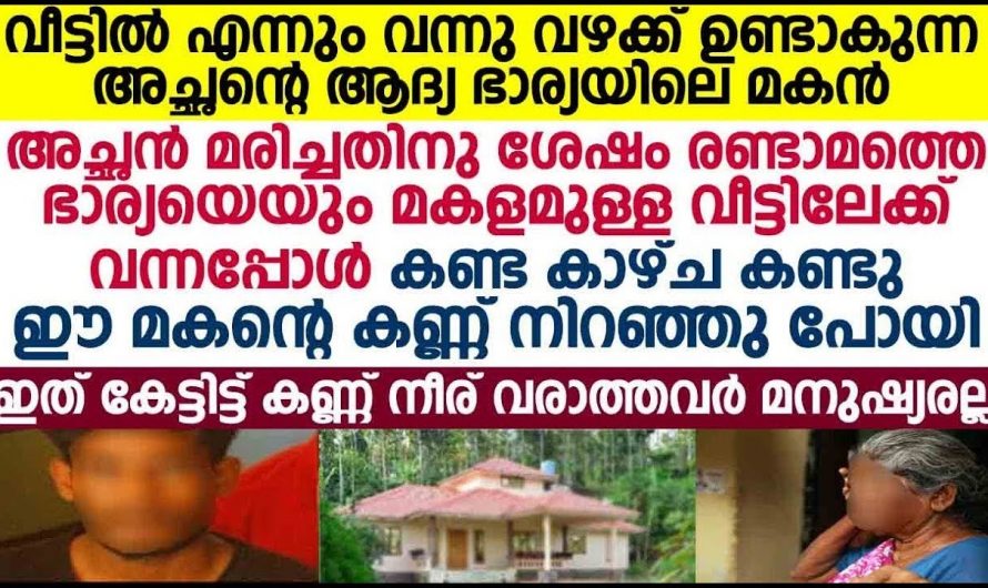 അമ്മയുടെ മരണശേഷം വീട്ടിൽ അച്ഛന്റെ രണ്ടാം ഭാര്യ വന്നപ്പോൾ തനിച്ചായി പോയ ഒരു മകൻ…