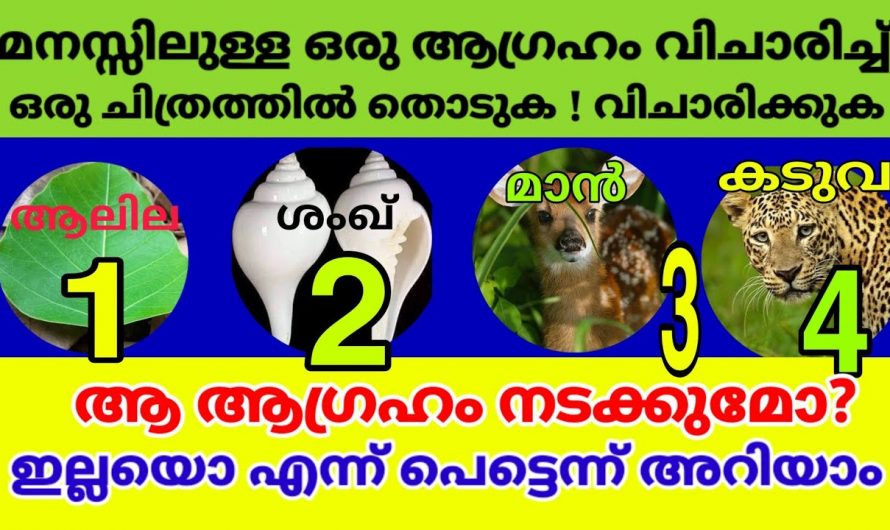 ഇന്നത്തെ തൊടുകുറിയിലെ ഒരു ചിത്രം നിങ്ങൾ തിരഞ്ഞെടുക്കൂ നിങ്ങളുടെ ഭാവി പ്രവചിക്കപ്പെടും…