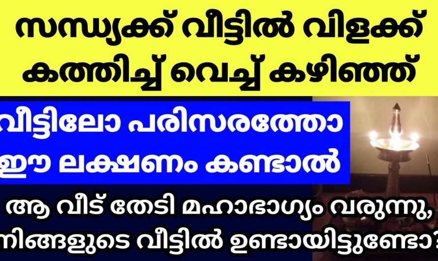 ഭാഗ്യം വരുമ്പോൾ പ്രകൃതി കാണിക്കുന്ന ലക്ഷണങ്ങൾ ഇവയെല്ലാം…